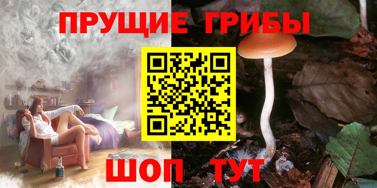 Галлюциногенные грибы MAGIC MUSHROOMS Междуреченск