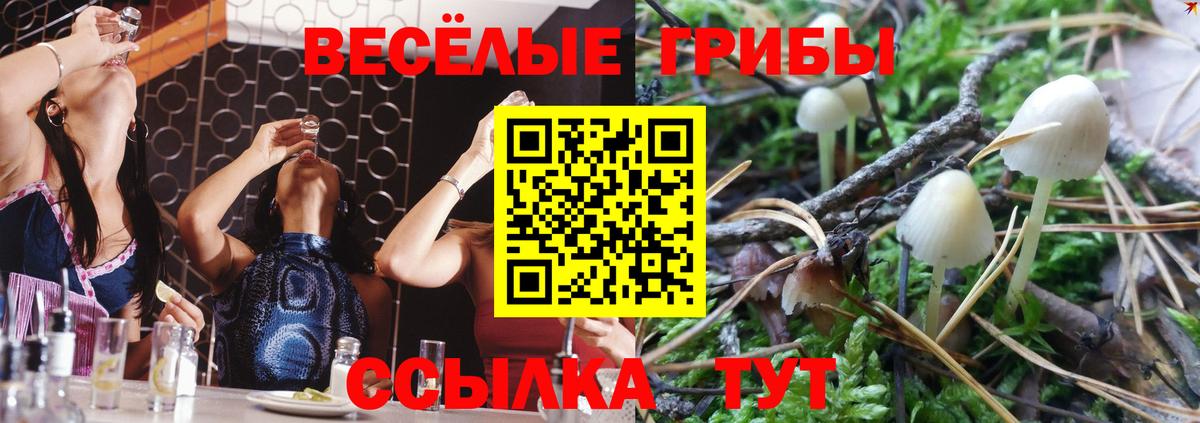 Междуреченск  Галлюциногенные грибы GOLDEN TEACHER  Вход с VPN 
